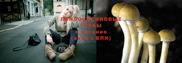СК Алзамай